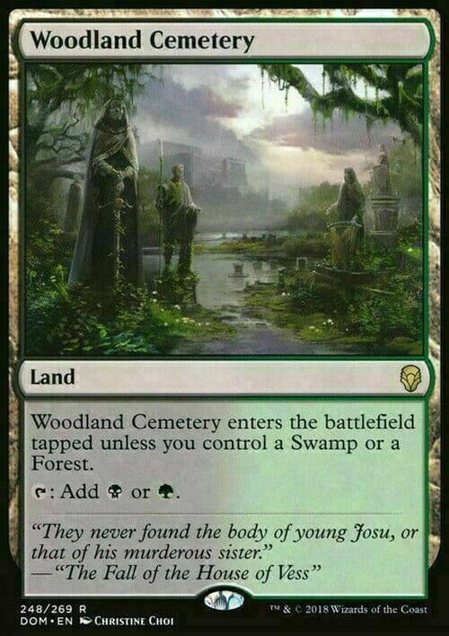 Woodland Cemetery ~ Dominaria [ Excellent ] [ Magic MTG ] - London Magic Traders Limited