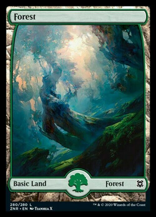 Choose your FULL ART Land ~ Zendikar Rising [ NearMint ] [ Magic MTG ]