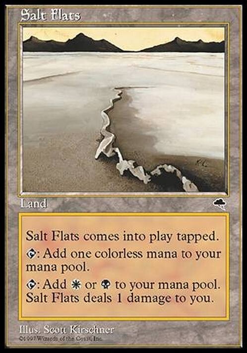 Salt Flats ~ Tempest [ Excellent ] [ Magic MTG ]