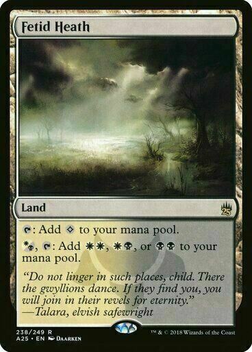 Fetid Heath ~ Masters 25 [ NearMint ] [ Magic MTG ]