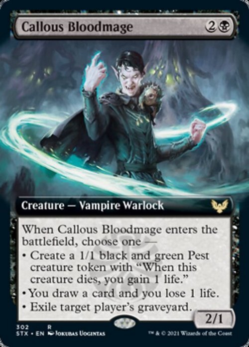 Choose your BORDERLESS / Extended ~ Strixhaven [ NearMint ] [ Magic MTG ]