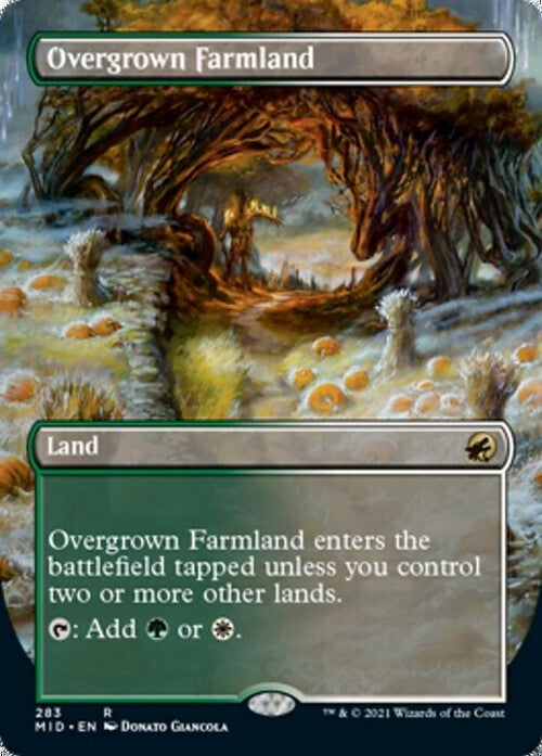 Choose your BORDERLESS / Extended ~ Midnight Hunt [ NearMint ] [ Magic MTG ] - London Magic Traders Ltd