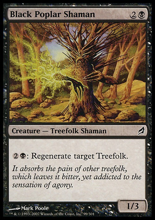 Black Poplar Shaman ~ Lorwyn [ Excellent ] [ Magic MTG ]