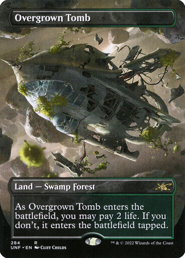 BORDERLESS Overgrown Tomb ~ Unfinity [ Excellent ] [ Magic MTG ]