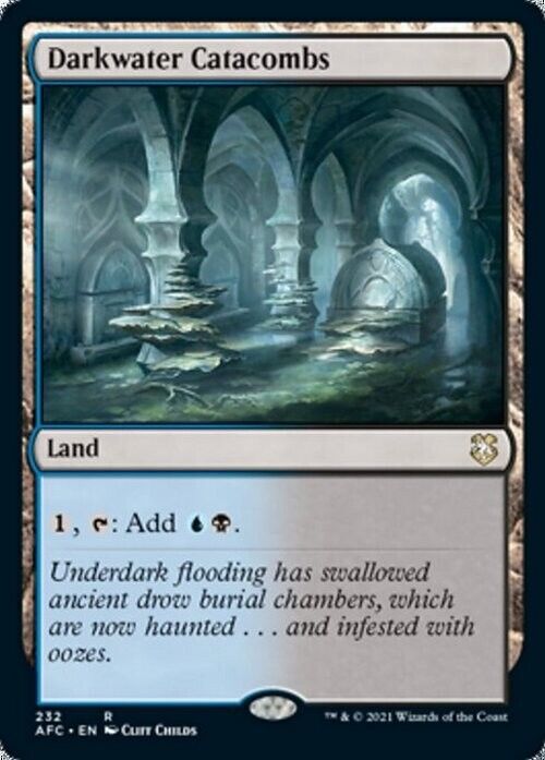 Darkwater Catacombs ~ Commander: Adventures in the Forgotten Realms [ NM ]