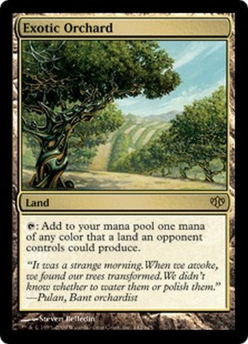 Exotic Orchard ~ Conflux [ Excellent ] [ Magic MTG ]