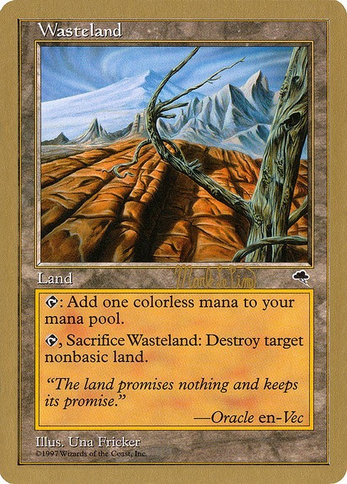 Wasteland (GOLD-BORDERED) ~ World Championship [ HEAVILY PLAYED ] [ Magic MTG ]