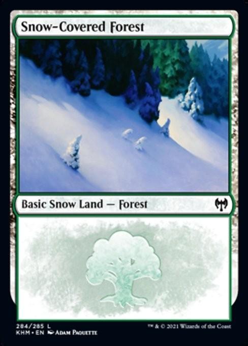 Choose your SNOW-COVERED Land ~ Kaldheim [ NearMint ] [ Magic MTG ]