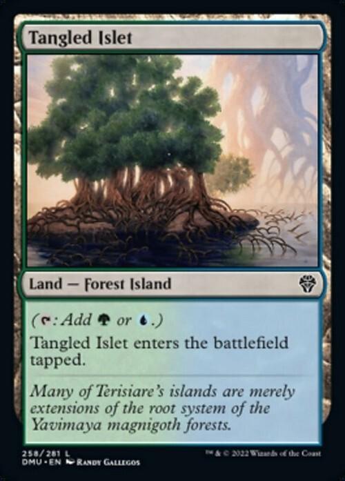 10 x FOIL Dominaria United Dual Lands ( Full Set = 1 of each ) [ NM ] [ MTG ]