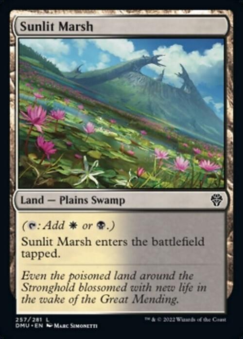 10 x FOIL Dominaria United Dual Lands ( Full Set = 1 of each ) [ NM ] [ MTG ]