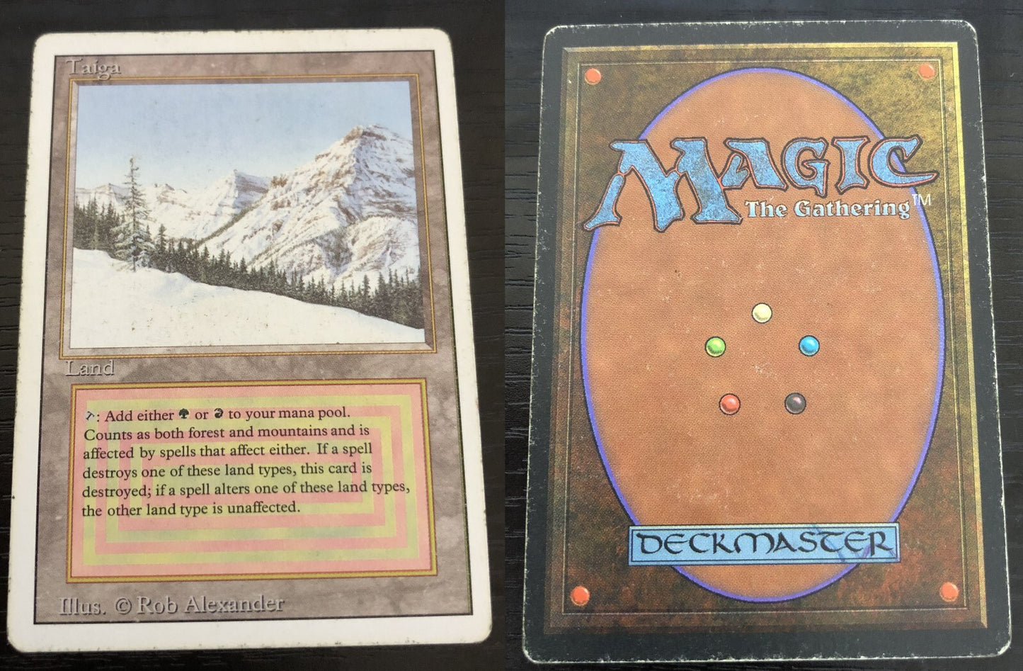 Taiga ~ Revised [ MODERATELY PLAYED ] [ Magic MTG ]