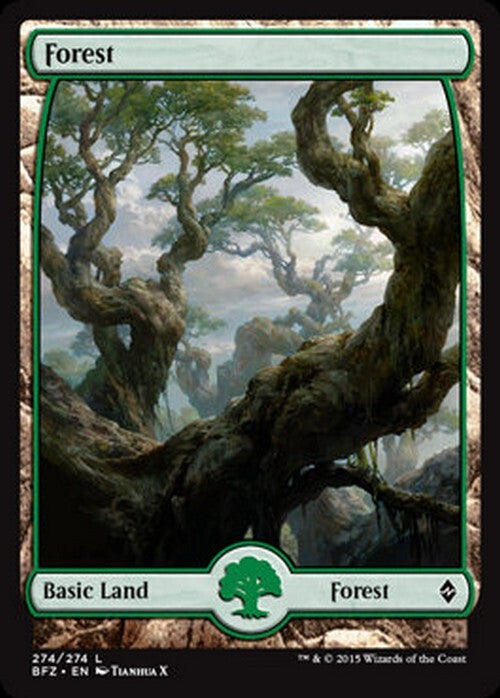 Choose your FULL ART Land ~ Battle for Zendikar [ Excellent ] [ Magic MTG ]