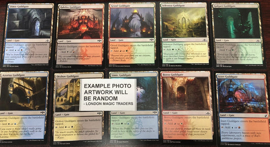 10 x Guildgate Lands ( Mixed Editions, Full Set = 1 of each ) [ EX ] [ MTG ]