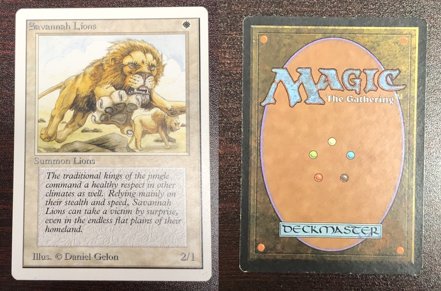 Savannah Lions ~ Unlimited [ Excellent ] [ Magic MTG ] - London Magic Traders Ltd