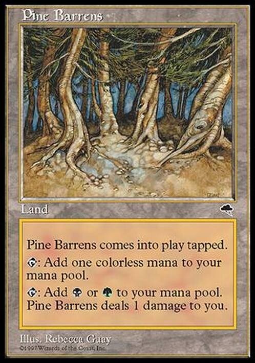 Pine Barrens ~ Tempest [ Excellent ] [ Magic MTG ]
