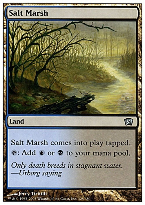 Salt Marsh ~ Eighth Edition [ Excellent ] [ Magic MTG ]
