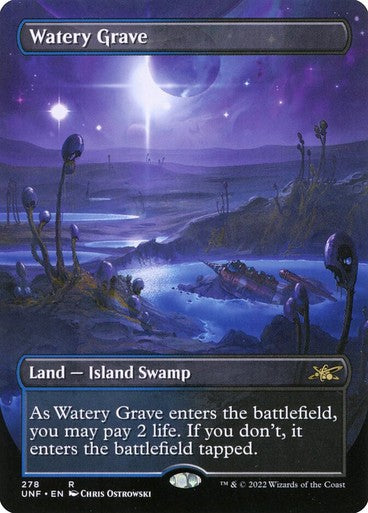 BORDERLESS Watery Grave ~ Unfinity [ Excellent ] [ Magic MTG ]