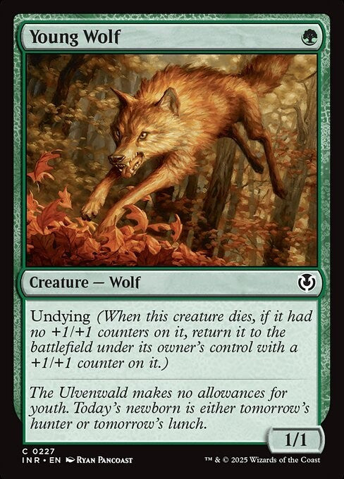 Young Wolf ~ Innistrad Remastered [ NearMint ] [ Magic MTG ]
