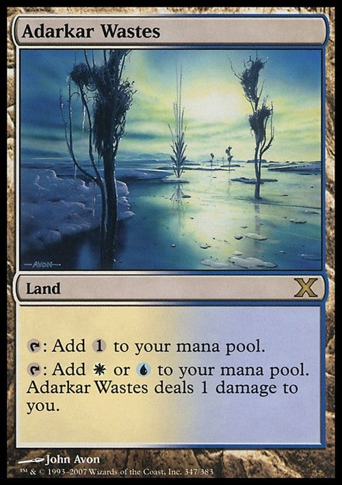 Adarkar Wastes ~ Tenth Edition [ Excellent ] [ Magic MTG ]