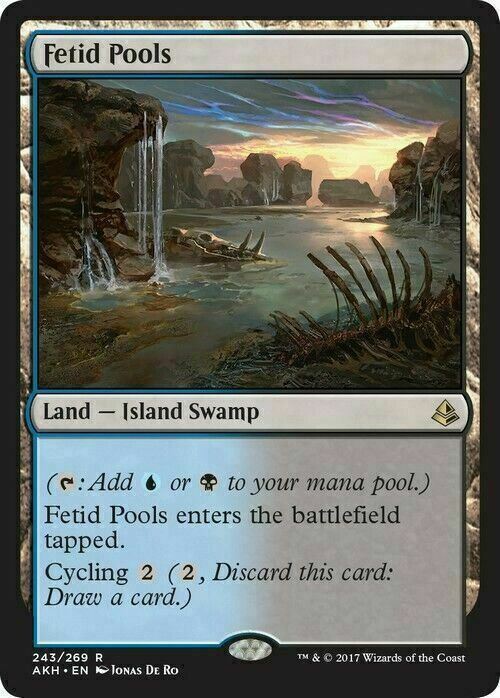 Fetid Pools ~ Amonkhet [ EX ] [ Magic MTG ]