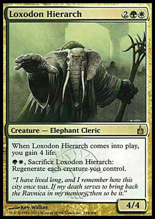 Loxodon Hierarch ~ Ravnica: City of Guilds [ EX ] [ Magic MTG ]