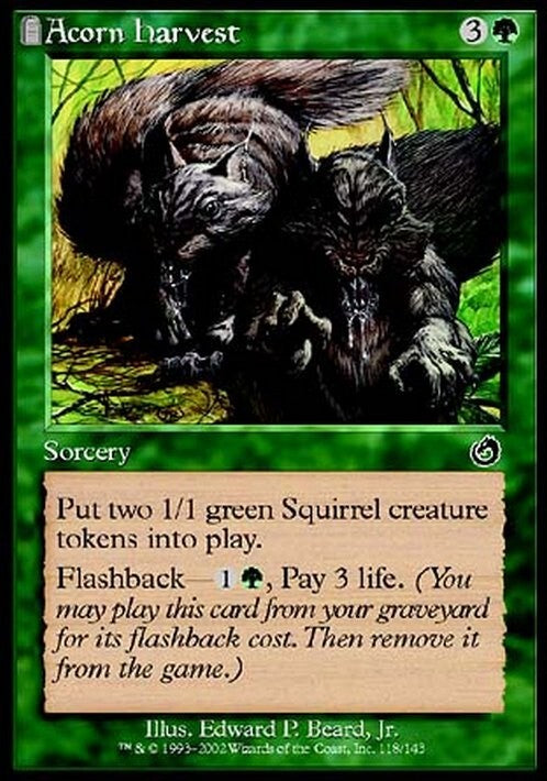 Acorn Harvest ~ Torment [ EX ] [ Magic MTG ]