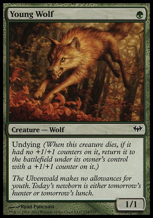 Young Wolf ~ Dark Ascension [ EX ] [ Magic MTG ]