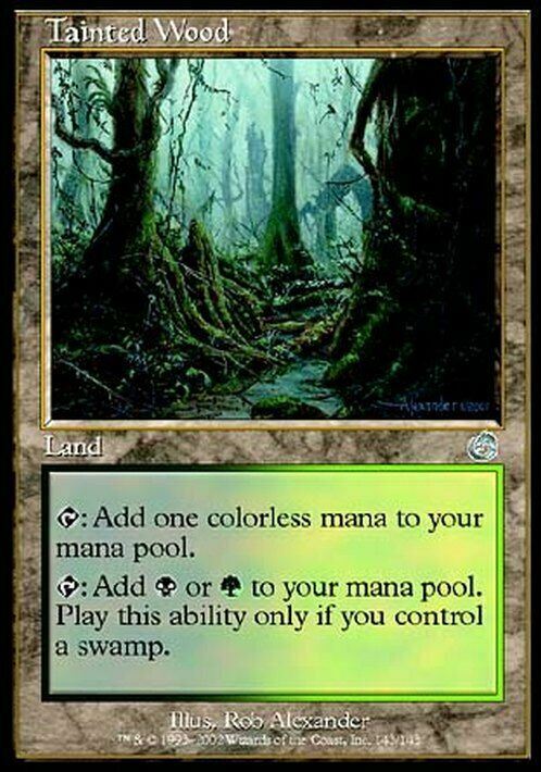 Tainted Wood ~ Torment [ EX ] [ Magic MTG ]