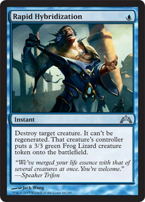 Rapid Hybridization ~ Gatecrash [ EX ] [ Magic MTG ]