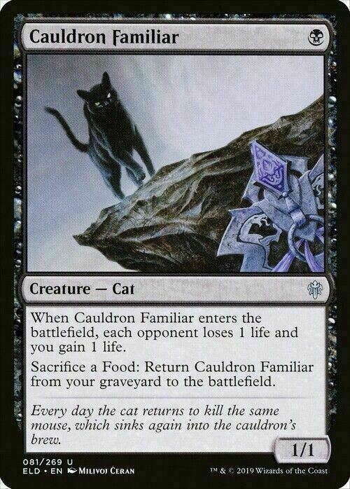 Cauldron Familiar ~ Throne of Eldraine [ EX ] [ Magic MTG ]