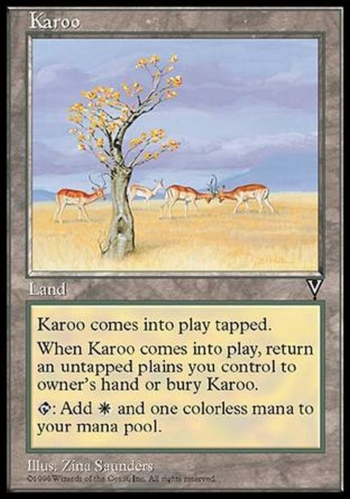 Karoo ~ Visions [ EX ] [ Magic MTG ]