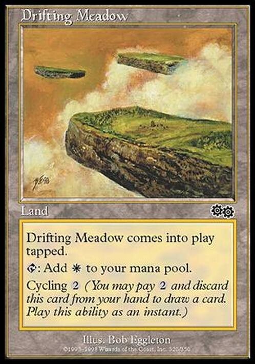 Drifting Meadow ~ Urza's Saga [ EX ] [ Magic MTG ]