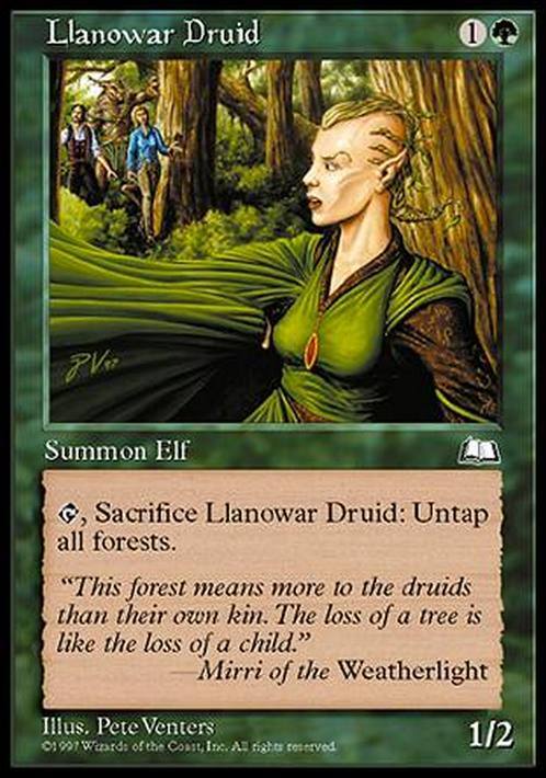 Llanowar Druid ~ Weatherlight [ EX ] [ Magic MTG ]
