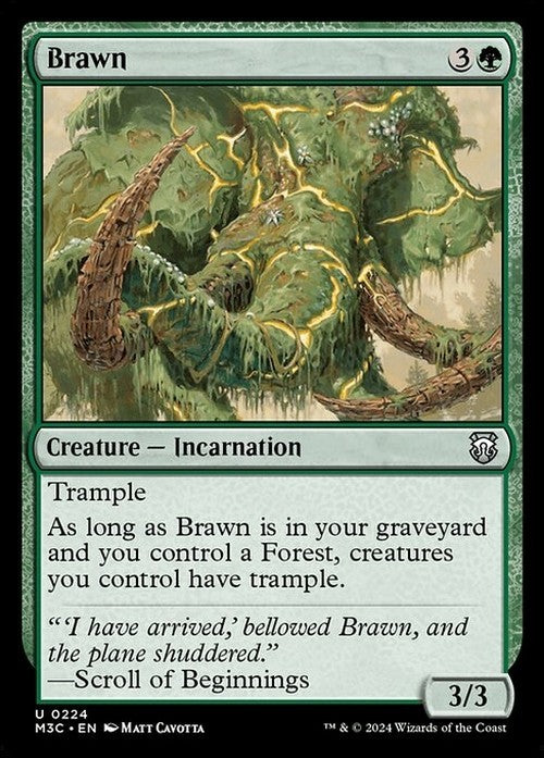 Brawn ~ Commander: Modern Horizons 3 [ NM ] [ Magic MTG ]