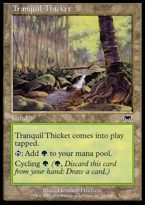 Tranquil Thicket ~ Onslaught [ EX ] [ Magic MTG ]