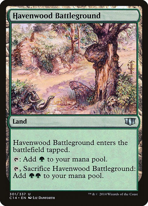 Havenwood Battleground ~ Commander 2014 [ EX ] [ Magic MTG ]
