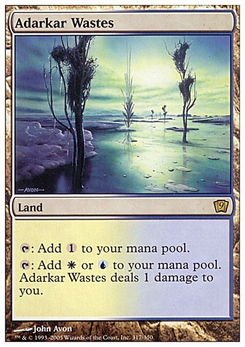 Adarkar Wastes ~ Ninth Edition [ EX ] [ Magic MTG ]