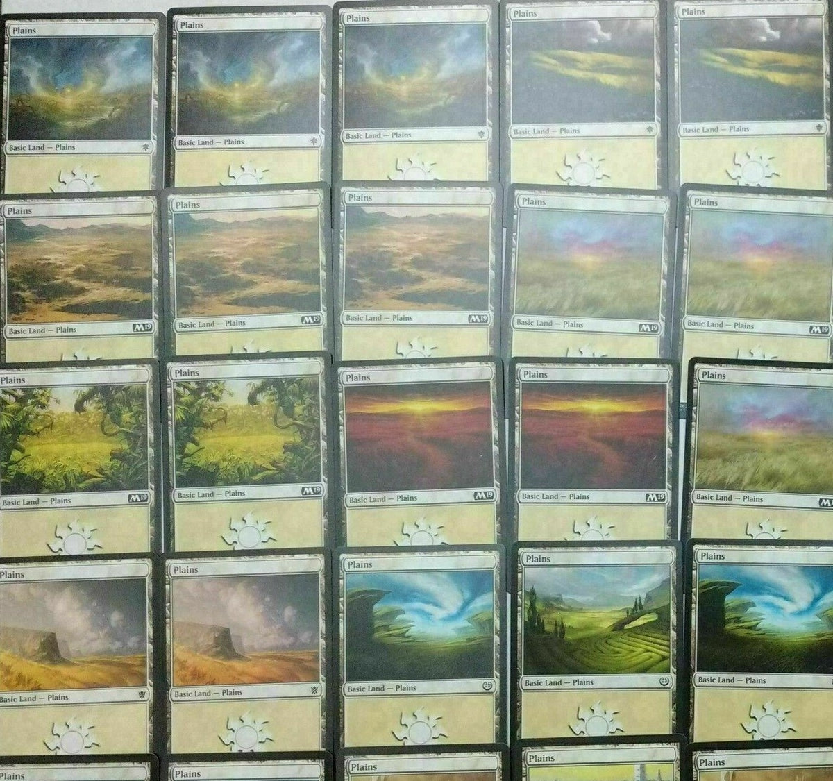 100 x Basic Lands (20 of each Colour) [ EX ] [ Magic the Gathering MTG ]