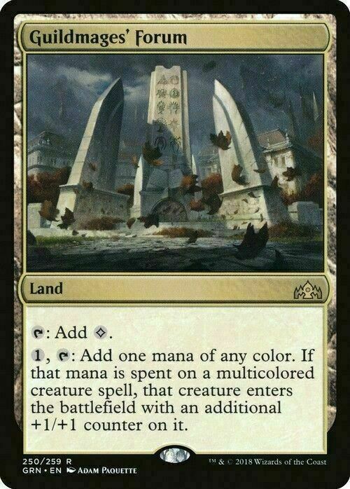 Guildmages' Forum ~ Guilds of Ravnica [ NM ] [ Magic MTG ]