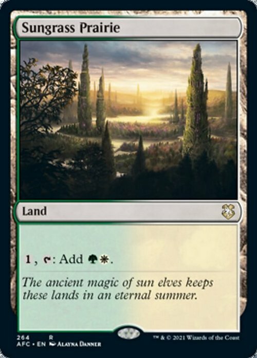 Sungrass Prairie ~ Commander: Adventures in the Forgotten Realms [ NM ]