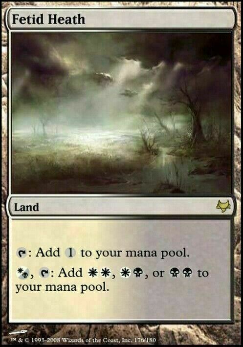 Fetid Heath ~ Eventide [ EX ] [ Magic MTG ]