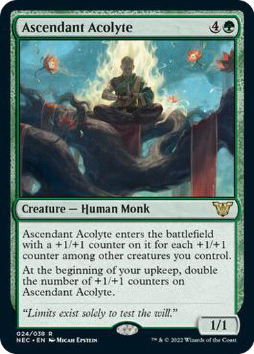 Ascendant Acolyte ~ Commander: Kamigawa: Neon Dynasty [ NM ] [ MTG ]