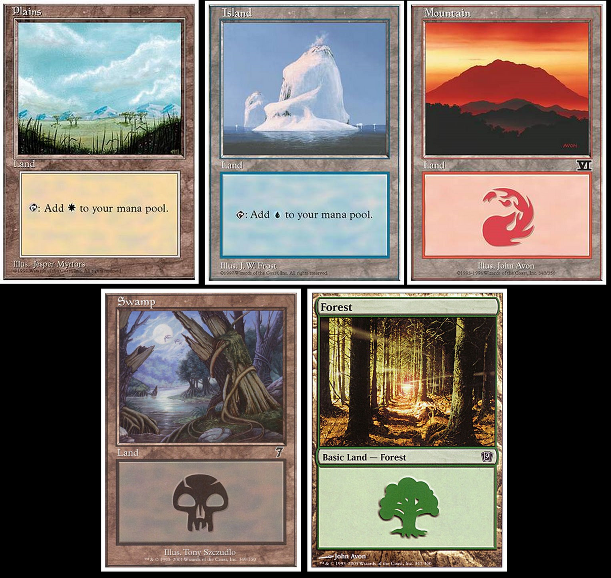 100 x WHITE BORDERED Random Basic Lands (20 of each) [ EX/PL ] [ Magic MTG ]