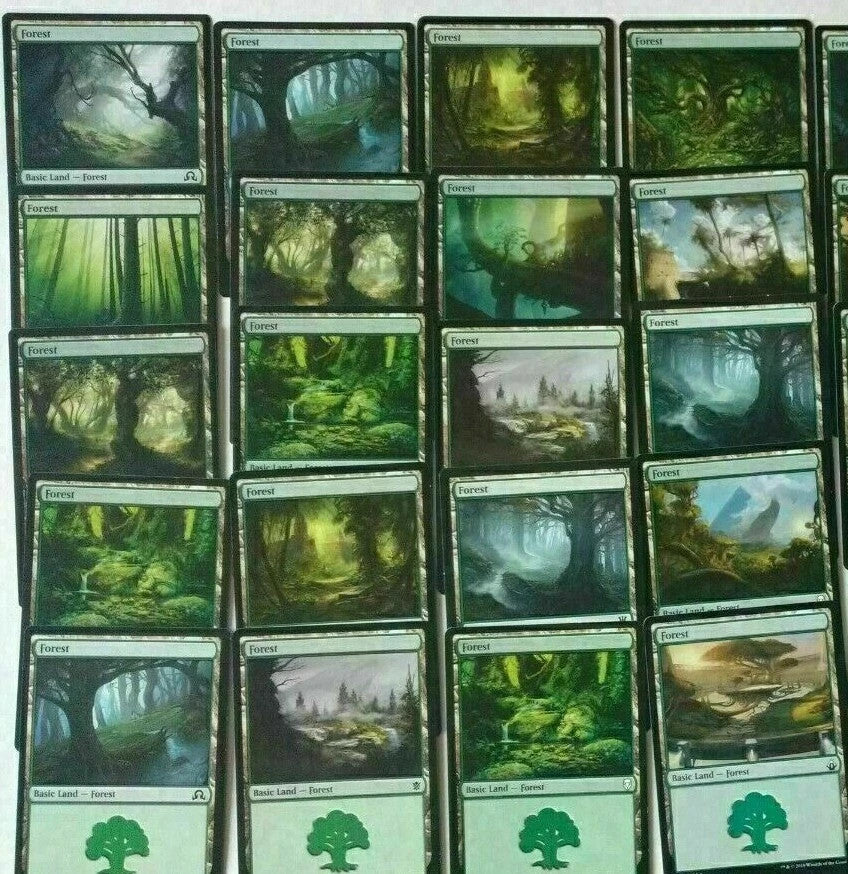 20 x Forest ~ Basic Lands (Random Sets/Arts) [ EX ] [ Magic the Gathering MTG ]