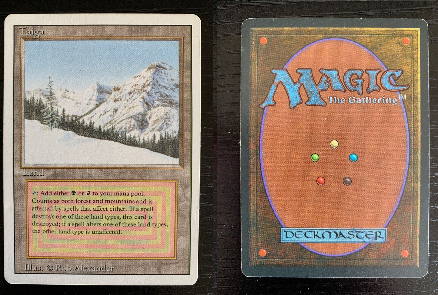 Taiga ~ Revised [ MODERATELY PLAYED ] [ Magic MTG ]
