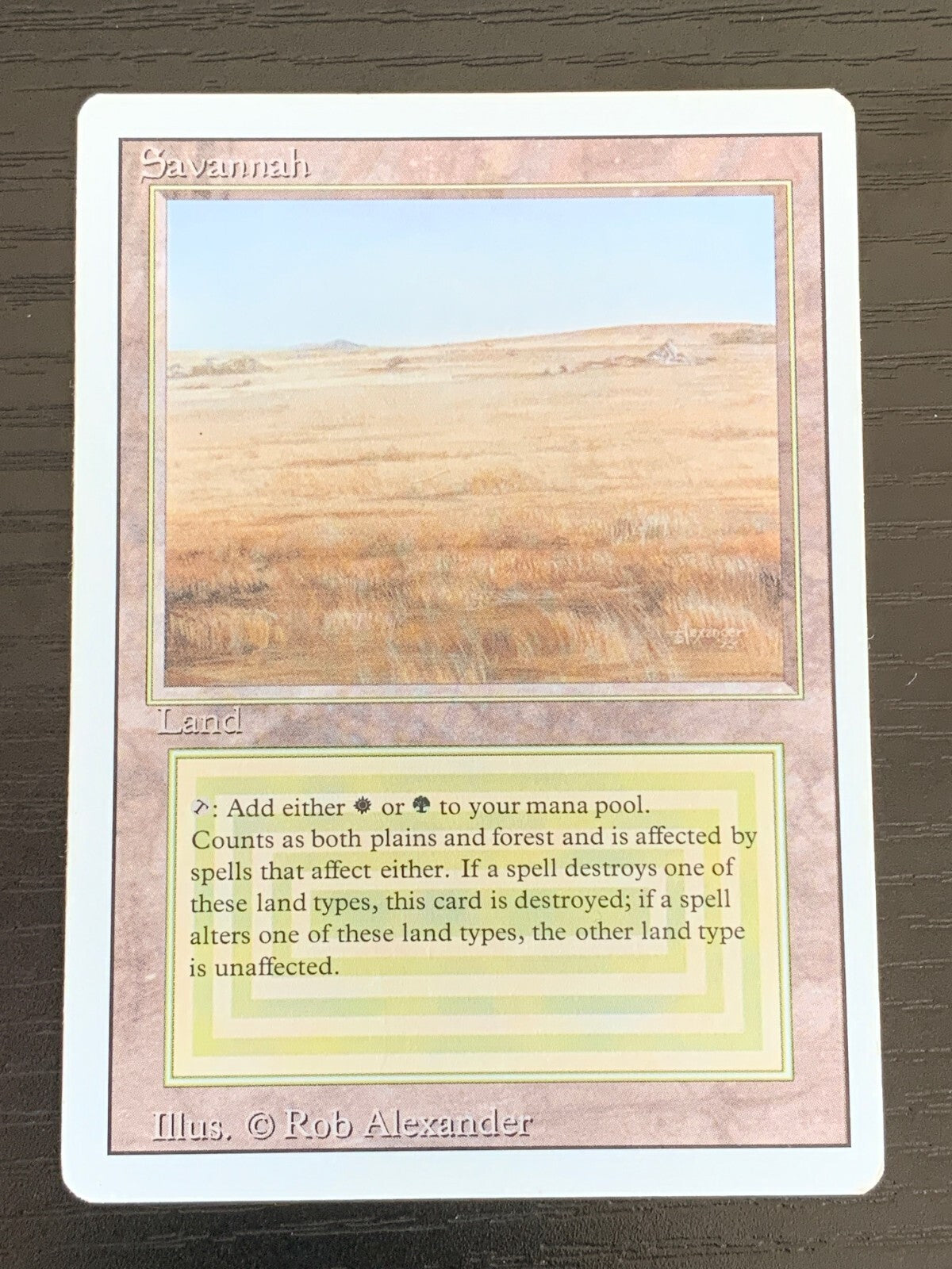 Savannah ~ Revised [ Excellent ] [ Magic the Gathering MTG ]
