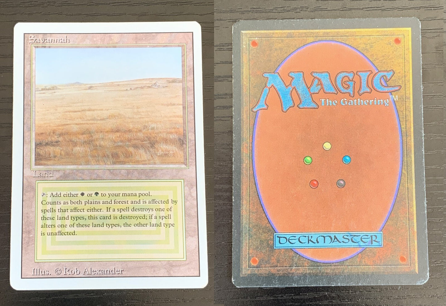 Savannah ~ Revised [ Excellent ] [ Magic the Gathering MTG ]