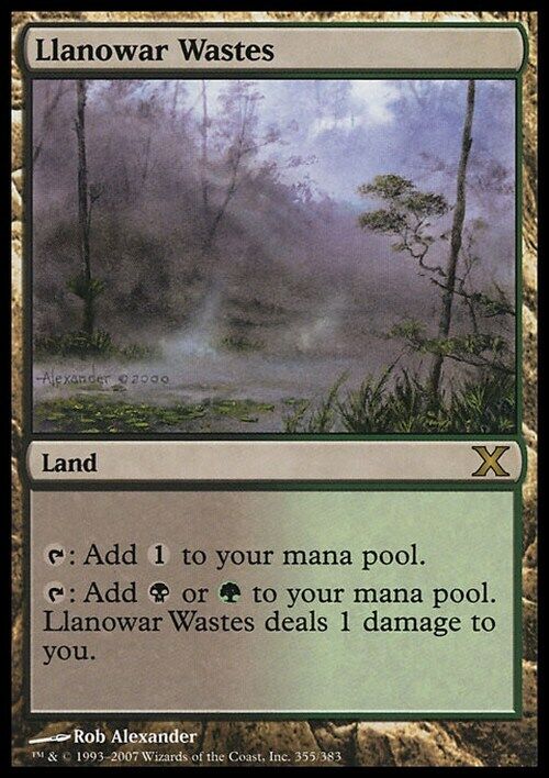 Llanowar Wastes ~ Tenth Edition [ Excellent ] [ Magic MTG ]