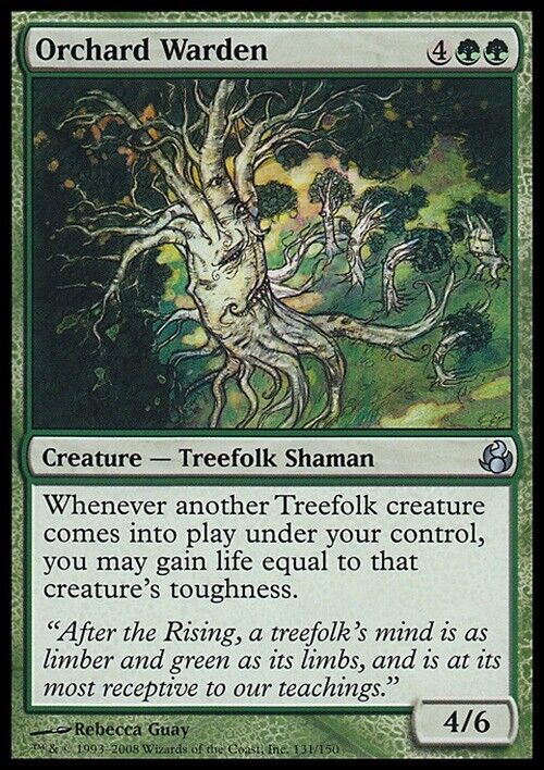 Orchard Warden ~ Morningtide [ Excellent ] [ Magic MTG ] - London Magic Traders Limited