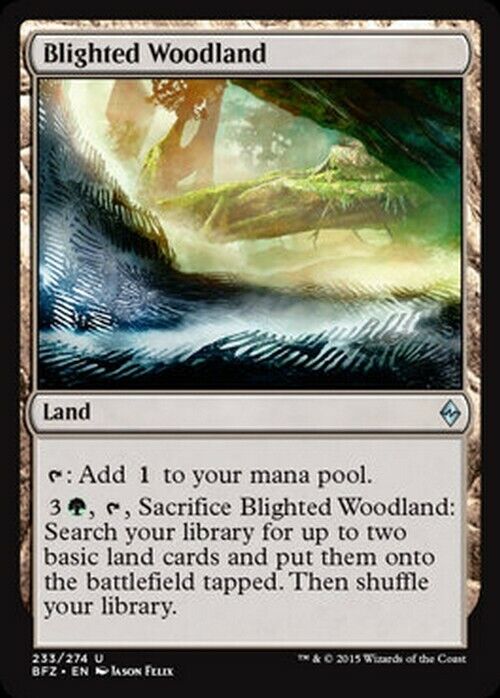 Blighted Woodland ~ Battle for Zendikar [ Excellent ] [ Magic MTG ]